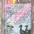 Story - Nice Swans