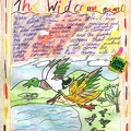 Story - Wild Creamy Malard