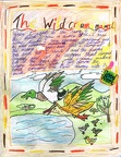 Story - Wild Creamy Malard