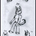 Dingo  random expressions