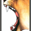 Lioness Roar