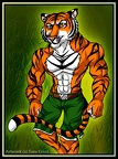 Age of Anthros - Tiger