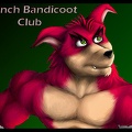 Crunch Club ID
