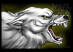 Wolfs Rain - Kiba
