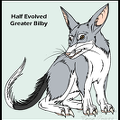 Half evolved Greater Bilby