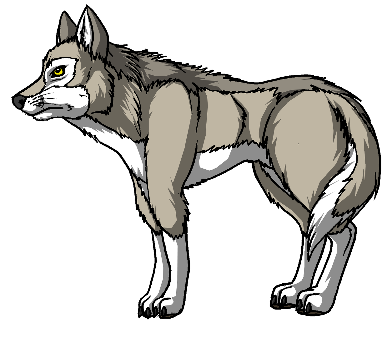 Species - Grey Wolf.png