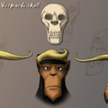 Verpardi skulls