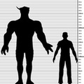 Verpardi to human size
