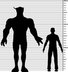 Verpardi to human size