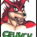 Crunch headshot.jpg