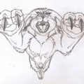 Sketch - Burgundy Bandicoot pounce