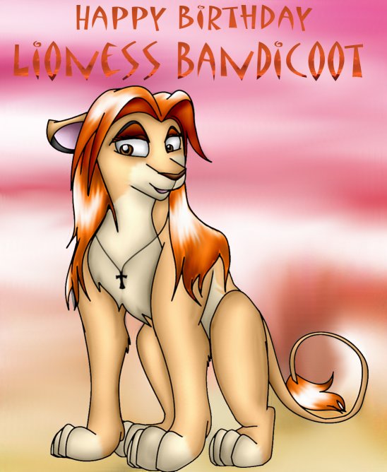 Birthday Lioness bandicoot