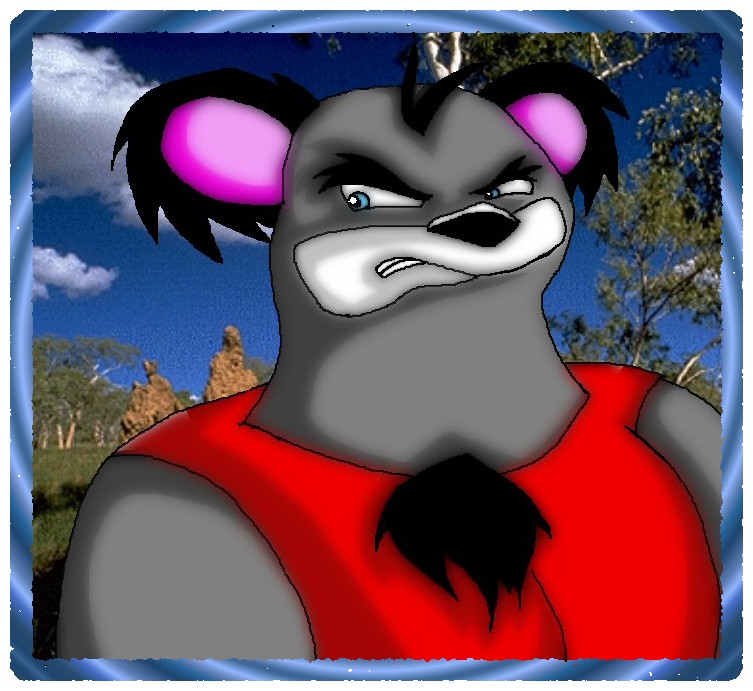 koala kong
