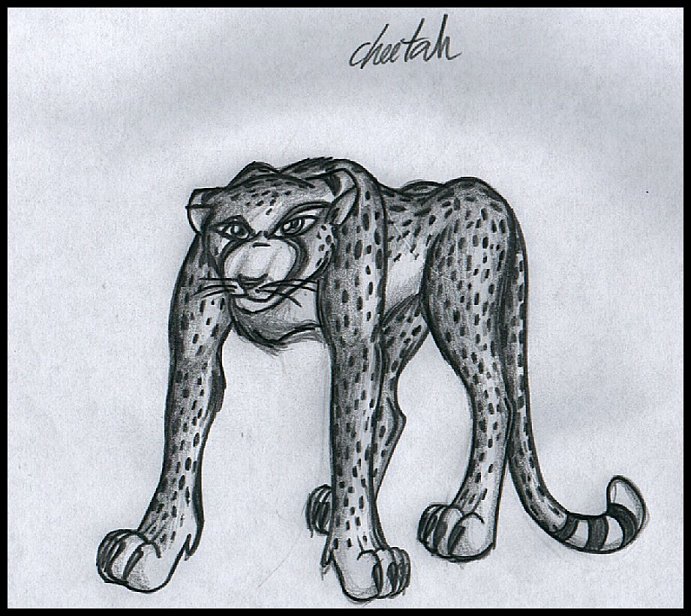 Cheetah_sketch.jpg