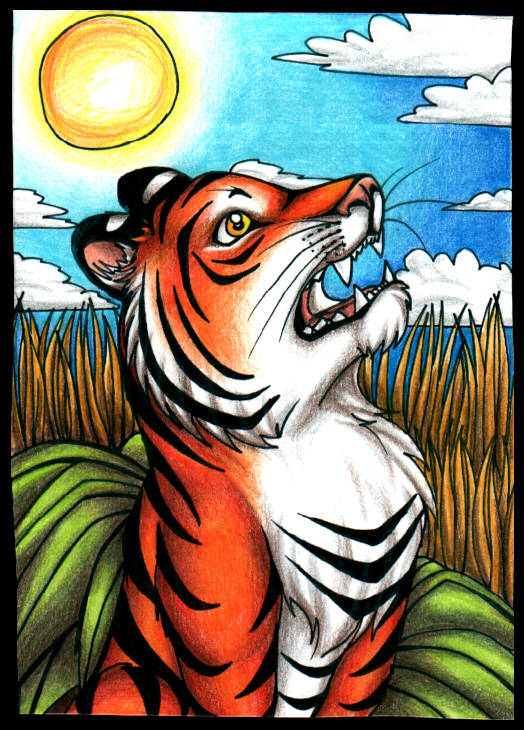 Orange Tiger.jpg