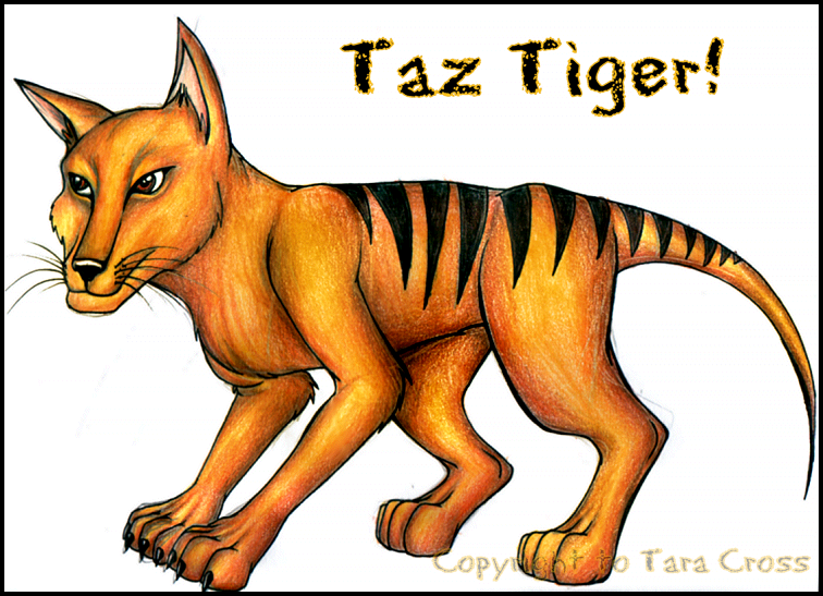 Taz Tiger