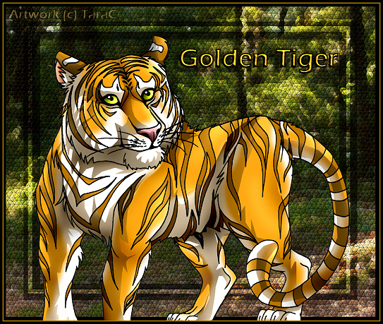 Golden Tabby Tiger.jpg