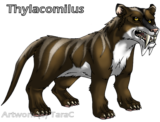 Thylacomilus