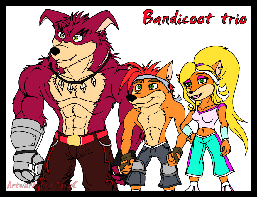 OB4 Bandicoot trio.jpg