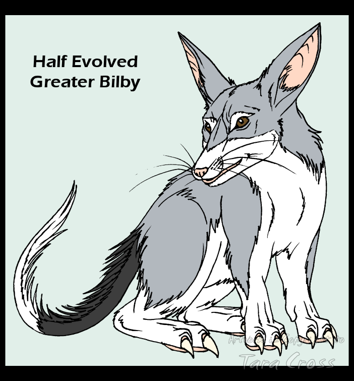 Half evolved Greater Bilby.png