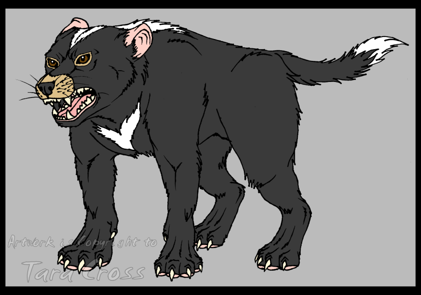 Half evolved Tasmanian Devil.png