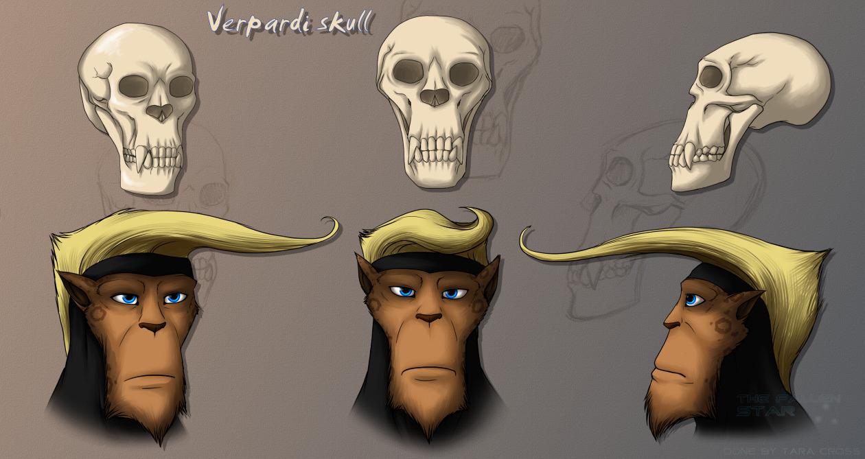 Verpardi skulls.jpg