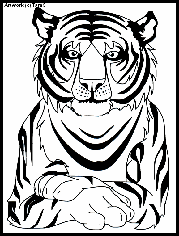 Tiger done with Freehand.png