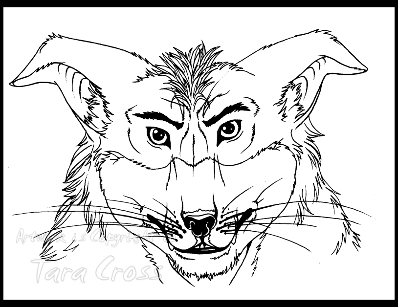 Lineart - Age of Anthros Crunch headshot.png