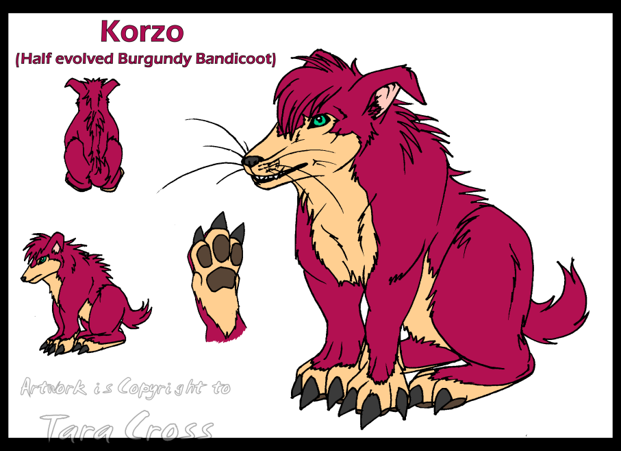 Reference - Korzo (half evolved).png